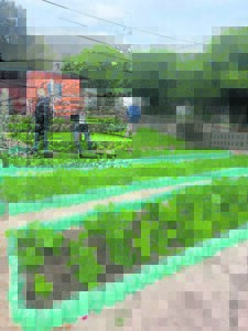 Rotary celebrates 100 years of making a difference