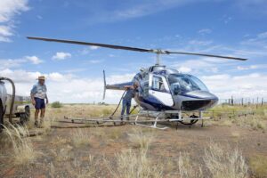 Sprinkane ‘oorweldig’