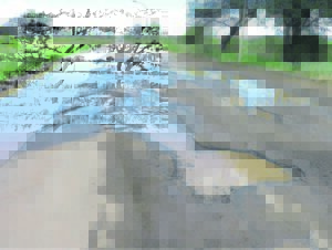 Padsterftes hoër as vorige jaar