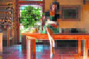 Yonder Hartsfees bied iets vir elkeen