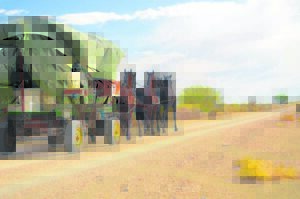 Oudste Vrystaat-dorp vier 200ste bestaansjaar