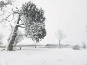 Foto-beeld: Groet met yskoue sneeusoene