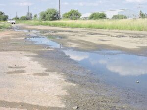 In Studystraat sal jy koes