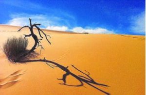 Reserves to be used as quarantine sites