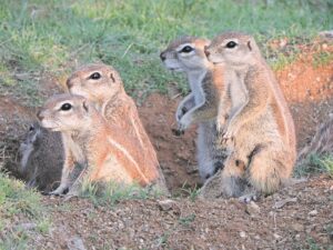 Foto-beeld: Koester tyd van samesyn