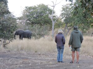 ‘Was die lewe maar ‘n safari’