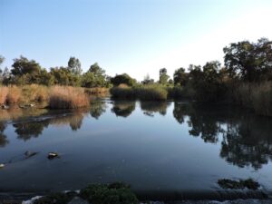 Polluted rivers endanger lives