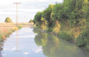 Foto-beeld: Ervaar welkome lafenis ná hitte