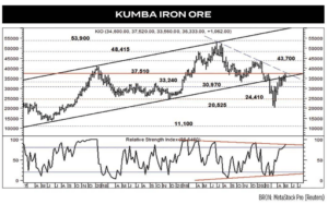 Riglyne vir ystererts aangepas