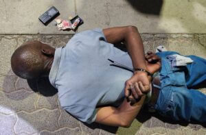 Endangered plants, dagga worth R700 000 confiscated by Northern Cape police