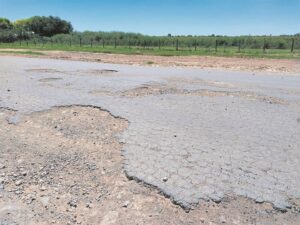 ‘Jy waag jou lewe’