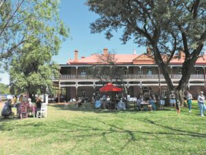 Geniet mark teen agtergrond van outydse swier