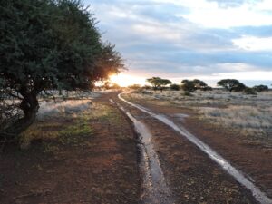 Finding your way not always simply straight(forward)