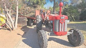Rondlê-vullis gou iets van verlede in Bloemhof