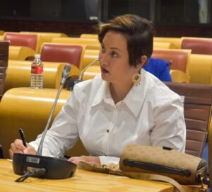 New deputy speaker elected for Northern Cape