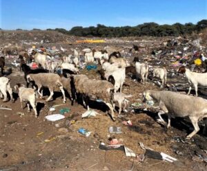 Weiveld vir boere gevra