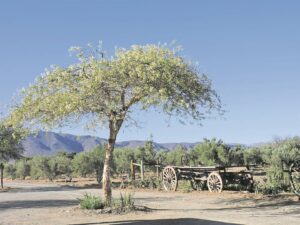 Small towns get new life