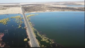 Services in entire NC in a poor state