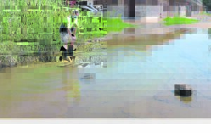 Buurt smeek vir diens