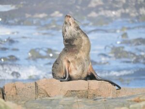 Leer ken jou provinsie dié vakansie