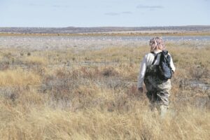 Flaminke terug buite Kimberley