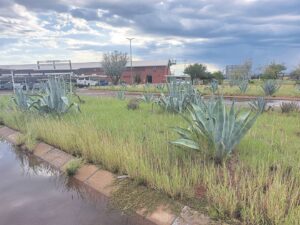 Upington: Aksie maak verskil