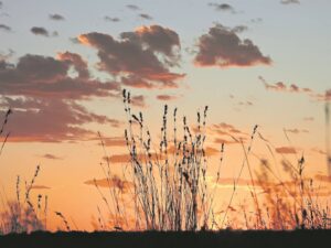 Foto-beeld: Gebaai in kalmte terwyl storms woed
