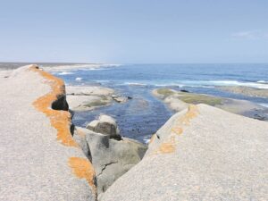 Foto-beeld: Bied ongerepte (koue) kuslyn