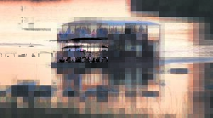 Sakkie se Arkie seëvier in appèlhof