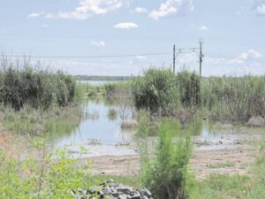 Sol Plaatje ‘onverskillig, nalatig’ met rioolbesoedeling van Kamfersdam