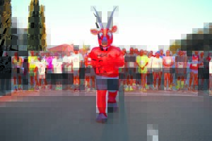 Engagement celebrated