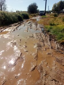 Dorpspad ‘soos ‘n vleiland’