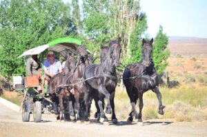 Forgotten Highway taps into possibilities of SA countryside