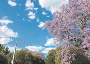 Bring ‘uitheemse’ kleurprag