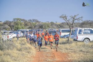 Bolster vulture conservation with each step