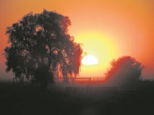 Foto-beeld: Laat sy gloed nie blus deur klam grysheid