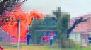 Veldbrande woed deur distrik