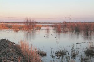 Toevloei besmet grond