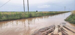 Moddernat ná welkome reën