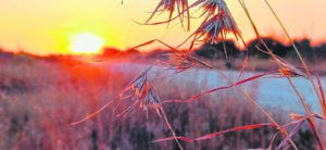 Bring lig, verligting vir aarde én gemoed