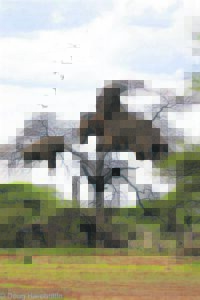 Building a structure of magnificence