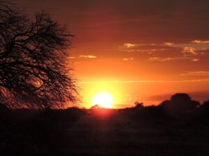 Lesersbrief: Verlange en heimwee na Dingleton