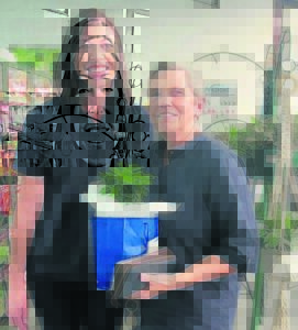 Waagmoedige steunpilare erken