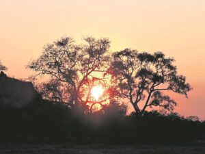 Foto-beeld: Verdwyn in goue gloed voor wintersnag