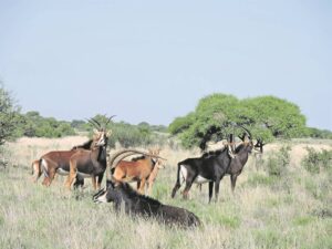 Bekyk omgewing in alle rigtings