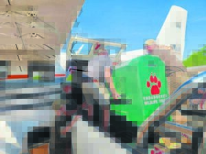 Organisasie span tyd, helikopters, vliegtuie in om natuur te help