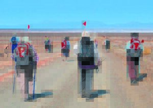 Elke tree maak verskil