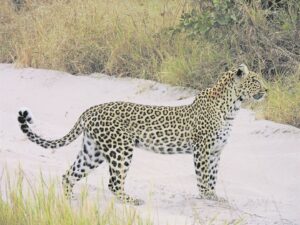Foto-beeld: Leef in die (besondere) oomblik vasgevang voort