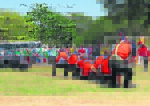 Noord-Kapenaars in SA-span trek saam vir goud