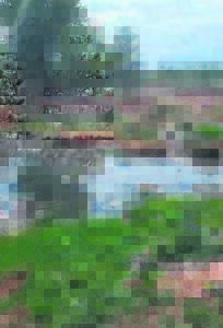 Rioolfrustrasie in Wrenchville: ‘Mens kan dit nie meer vat’